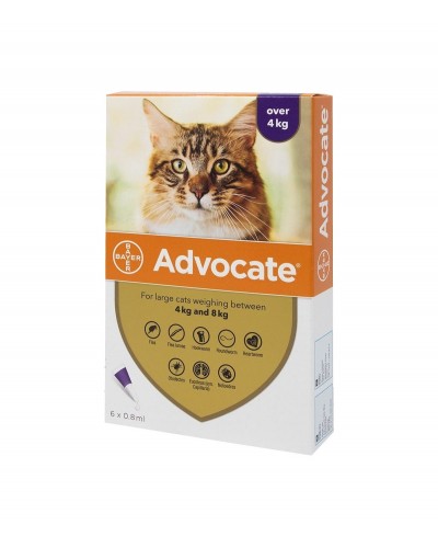 Advocate Bayer краплі для кішок від 4 кг до 8 кг (3 піпетки)
