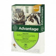 Bayer Advantage 40 - краплі Байєр Адвантікс ® від бліх для кроликів, кошенят і кішок до 4 кг за 4 (піпетки)