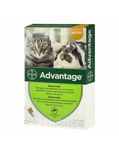 Bayer Advantage 40 - краплі Байєр Адвантікс ® від бліх для кроликів, кошенят і кішок до 4 кг за 4 (піпетки)