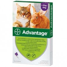 Bayer Advantage Cat 80 — краплі Байер Адвантейдж 4-8 кг від бліх для котів і декоративних кроликів за 4 піпетки