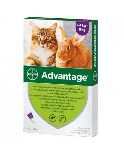 Bayer Advantage Cat 80 — краплі Байер Адвантейдж 4-8 кг від бліх для котів і декоративних кроликів за 4 піпетки