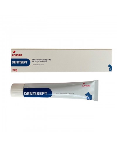 Dentisept Дентисепт 20г зубна паста для собак і кішок з хлоргексидином Швейцарія