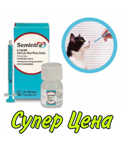 СЕМИНТРА 30 мл при ХХН для котів